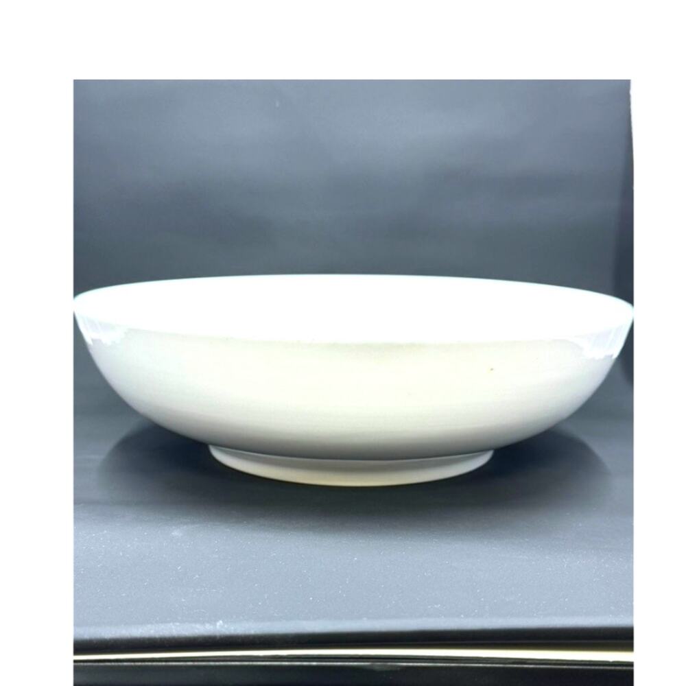 Pier 1 Imports "Luminous"White Porcelian 9" Pasta Bowl - Picture 1 of 6